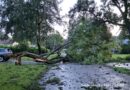 Stoic Practices: Contemplation of Nature