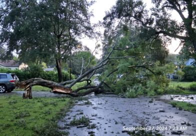 Stoic Practices: Contemplation of Nature Stoic Practices: Contemplation of Nature