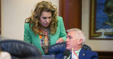 The High Price of “Nice”: What Karen Gonzalez Pittman is Actually Costing South Tampa