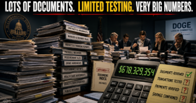 The DOGE Method: Lots of Documents, Limited Testing, Very Big Numbers The DOGE Method: Lots of Documents, Limited Testing, Very Big Numbers